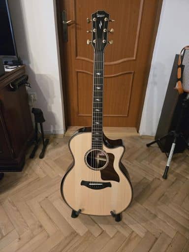 Taylor 814ce Builders Edition